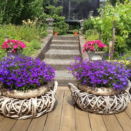 Bed & Breakfast Huize *