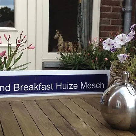 ベッド・アンド・ブレックファスト Huize Mesch アイスデン