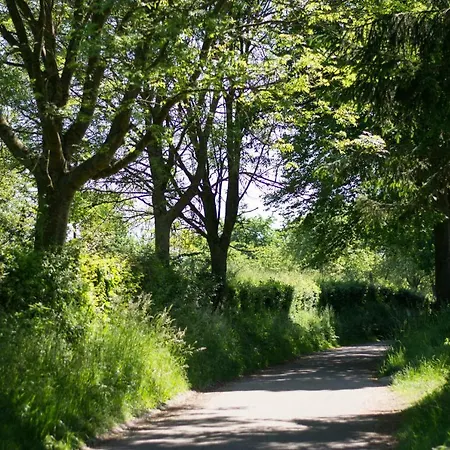 Huize Mesch Bed & Breakfast 3*