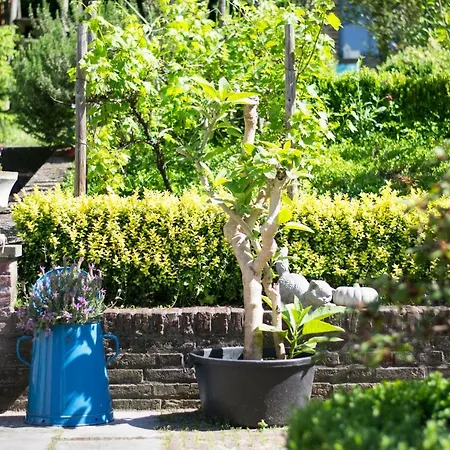 Huize Mesch Bed & Breakfast 3*