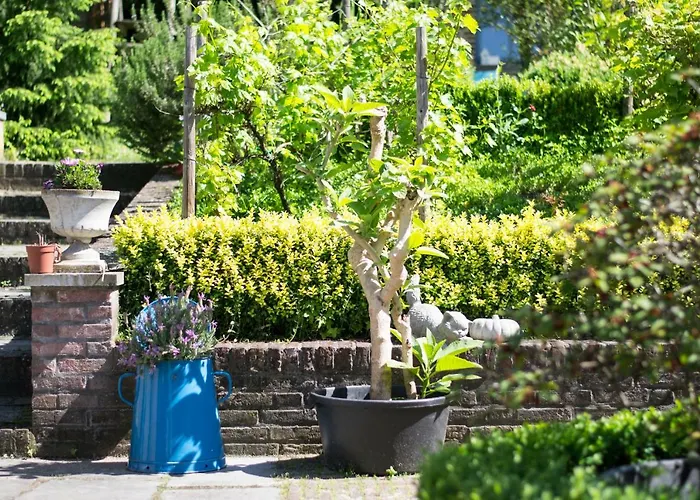 Huize Mesch Bed & Breakfast 3*